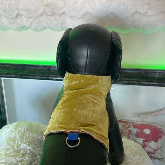 Stylish Black and Gold Dog Harness - Picture 7 of 8